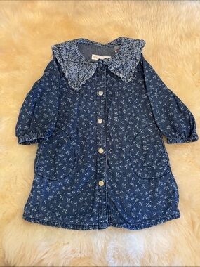 Zara Blue Floral Denim Dress with Peter Pan Collar